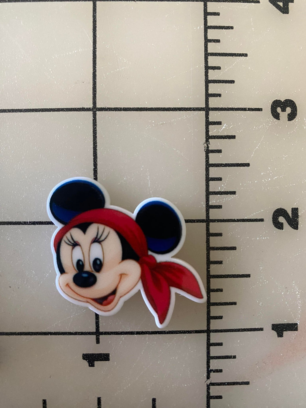Pirate Minnie Flat back Printed Resin