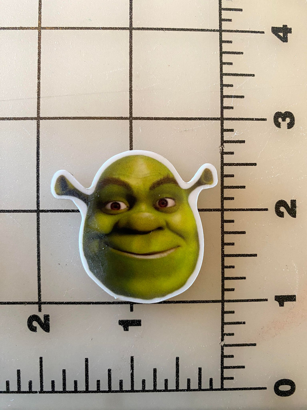 SHREK Flatback Printed Resin