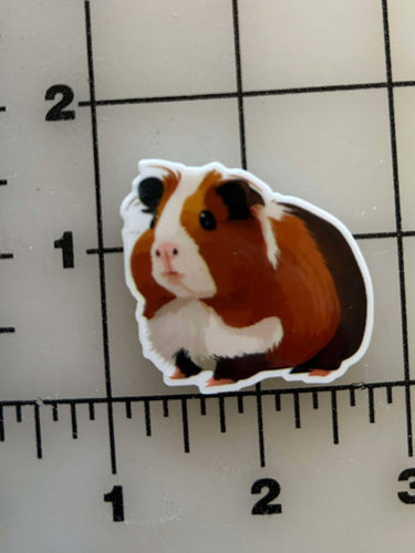 NEW Cute Guinea pig Flat back Printed Resin