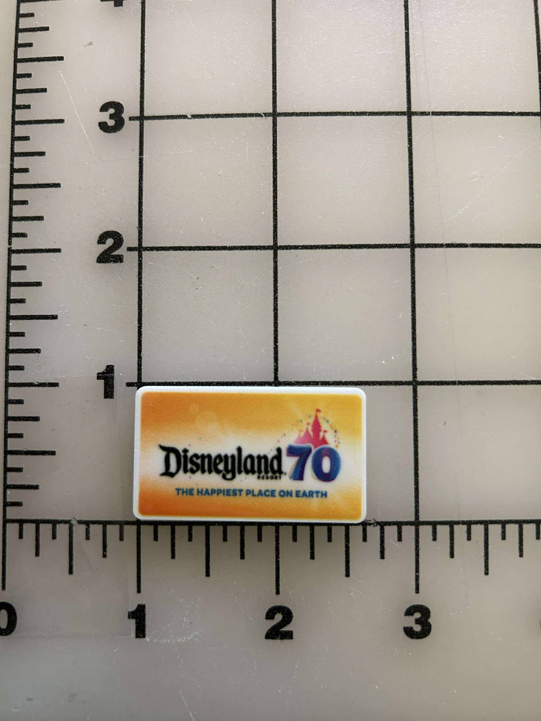 NEW Disneyland's 70th Anniversary Title Flatback Printed Resin