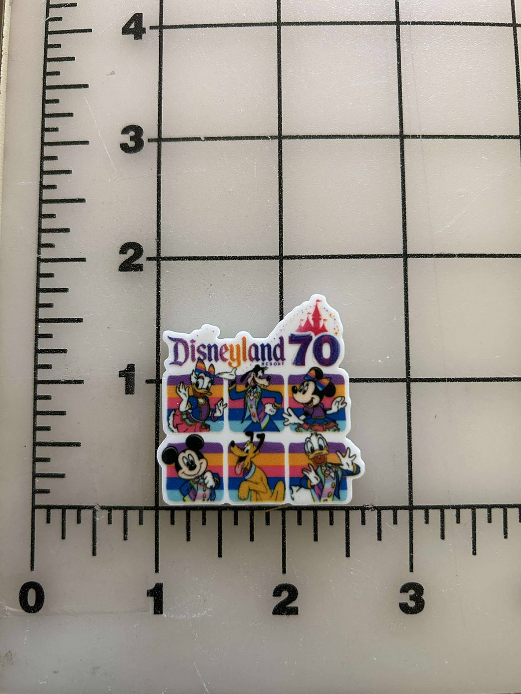 NEW Disneyland's 70th Anniversary Flatback Printed Resin