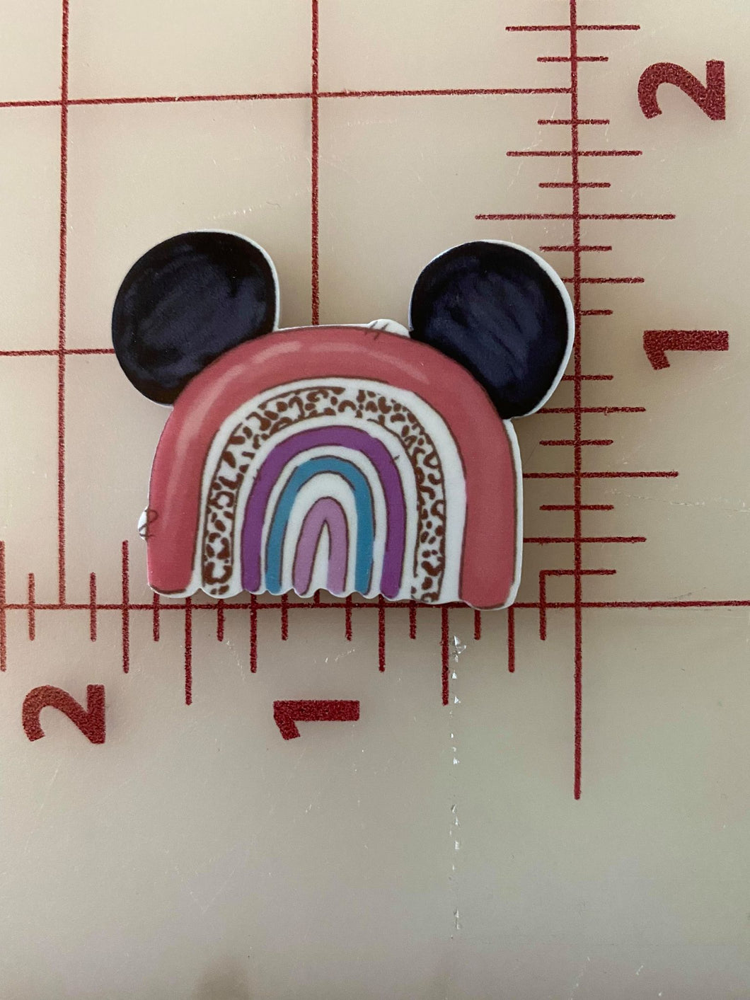 Mickey Ears Muted Rainbow Flat back Printed Resin