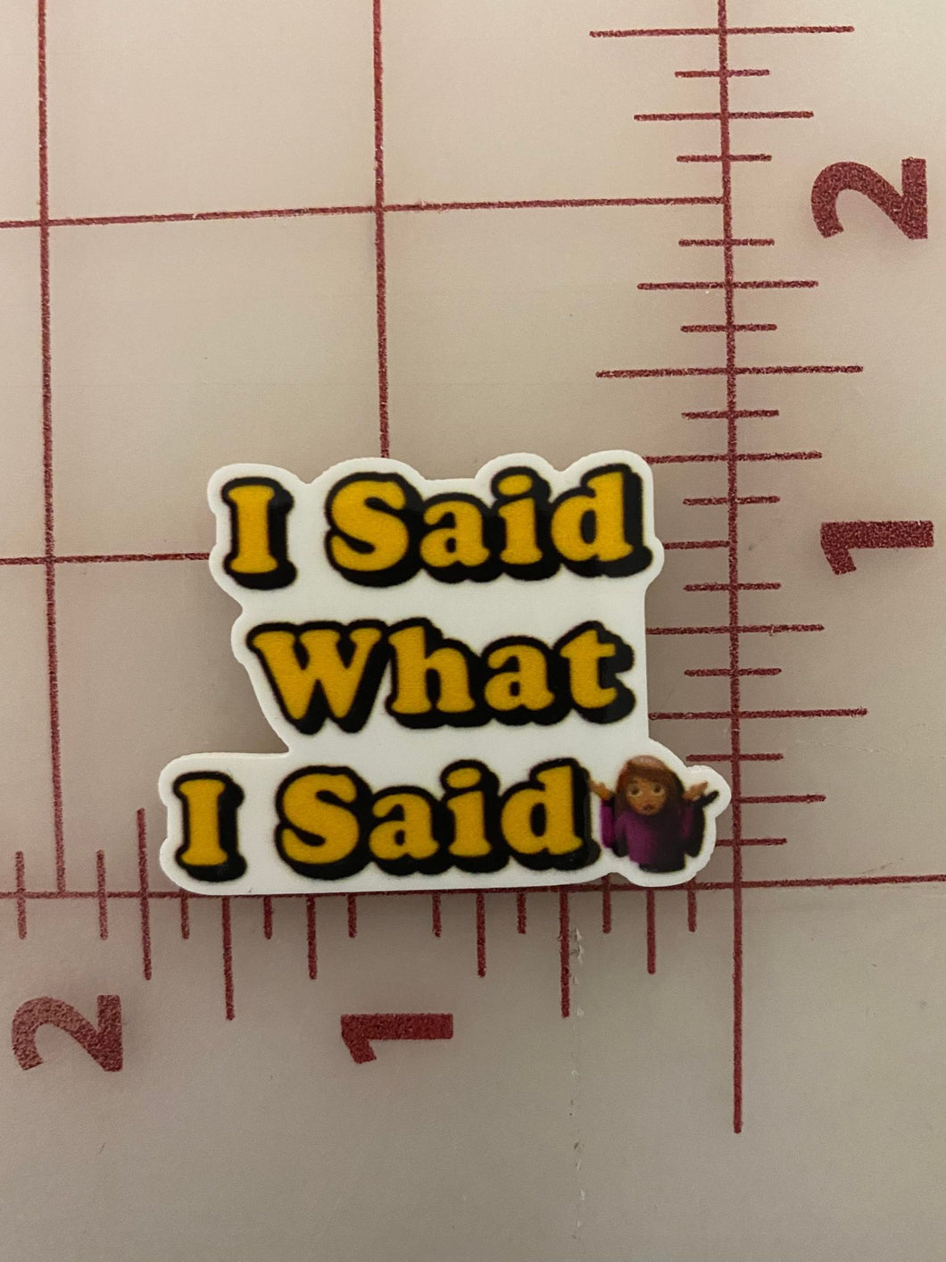 I said what I said Flat back Printed Resin