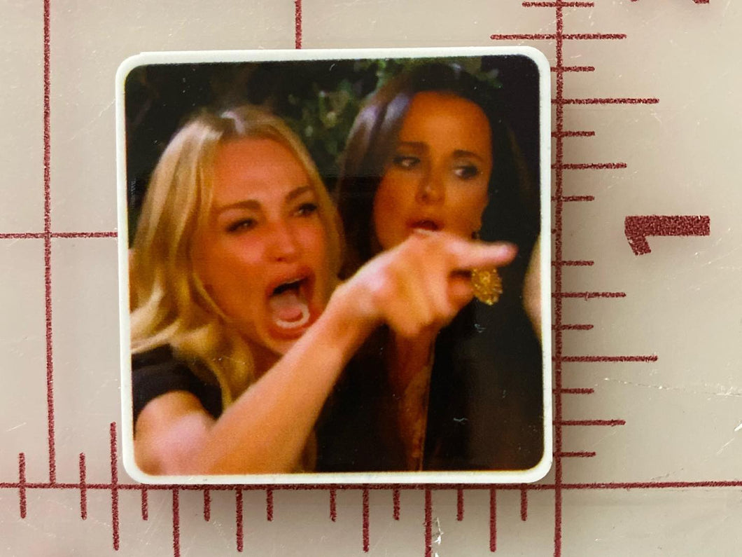 Women Yelling at Infamous Cat meme Flat back Printed Resin