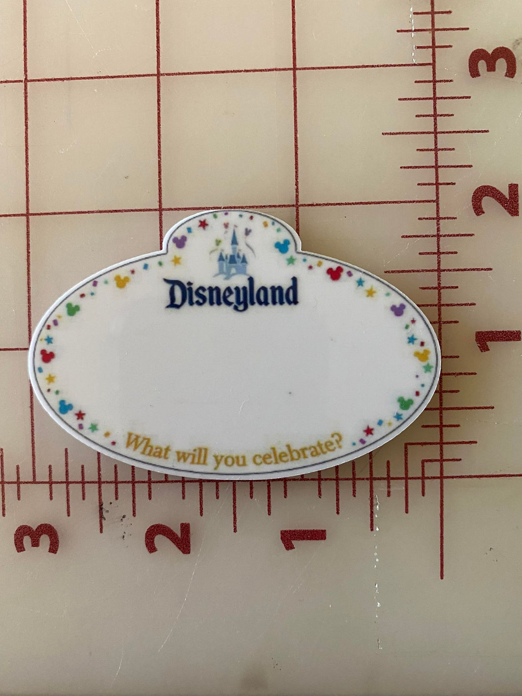 Large Disneyland Cast Member Name badge 