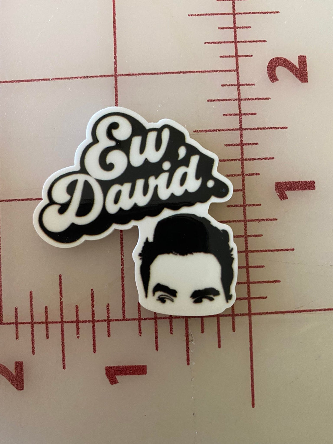 Ew, David  Schitt's Creek TV Show Flat back Printed Resin