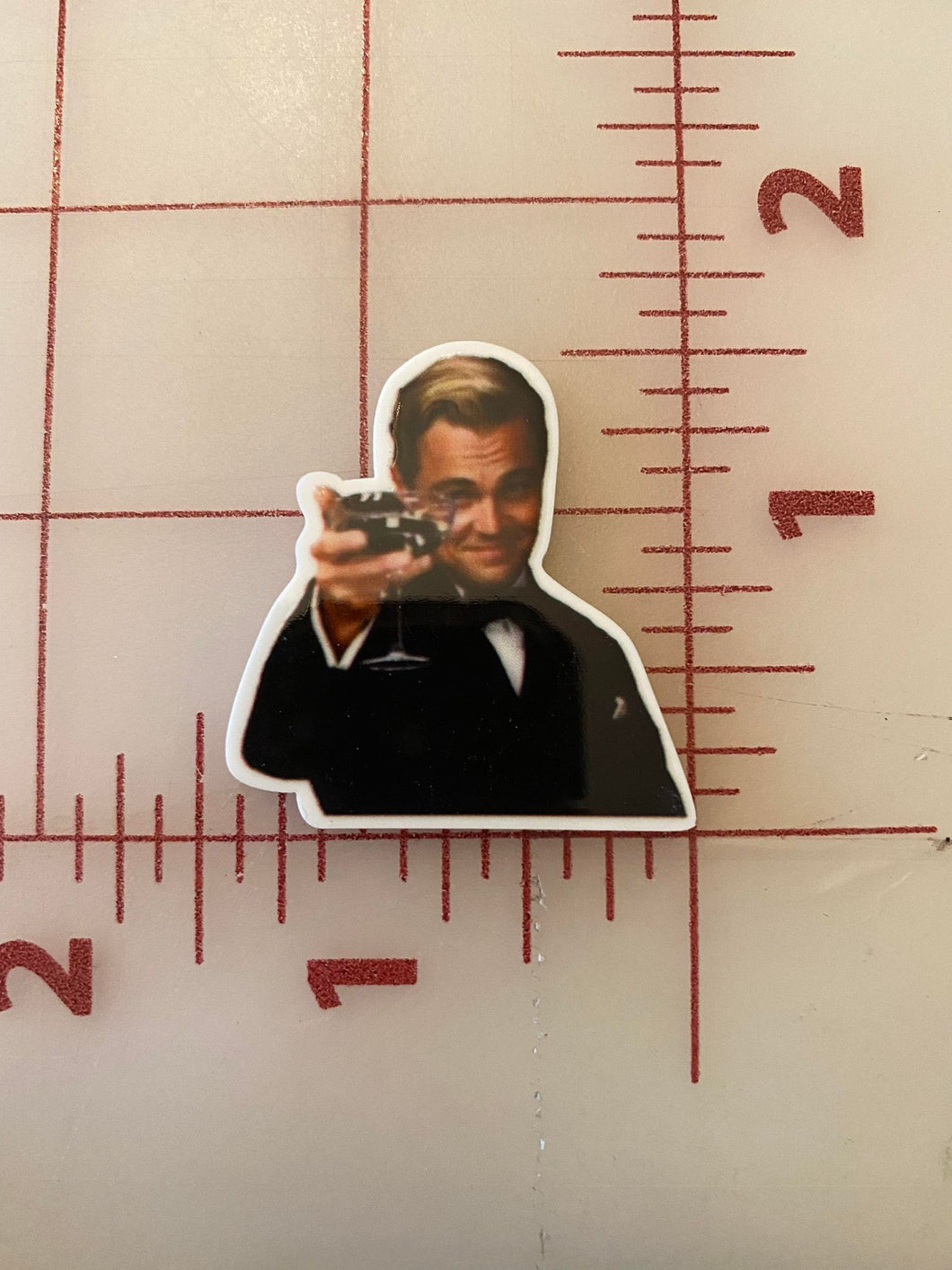 Leonardo DiCaprio Infamous meme Flat back Printed Resin