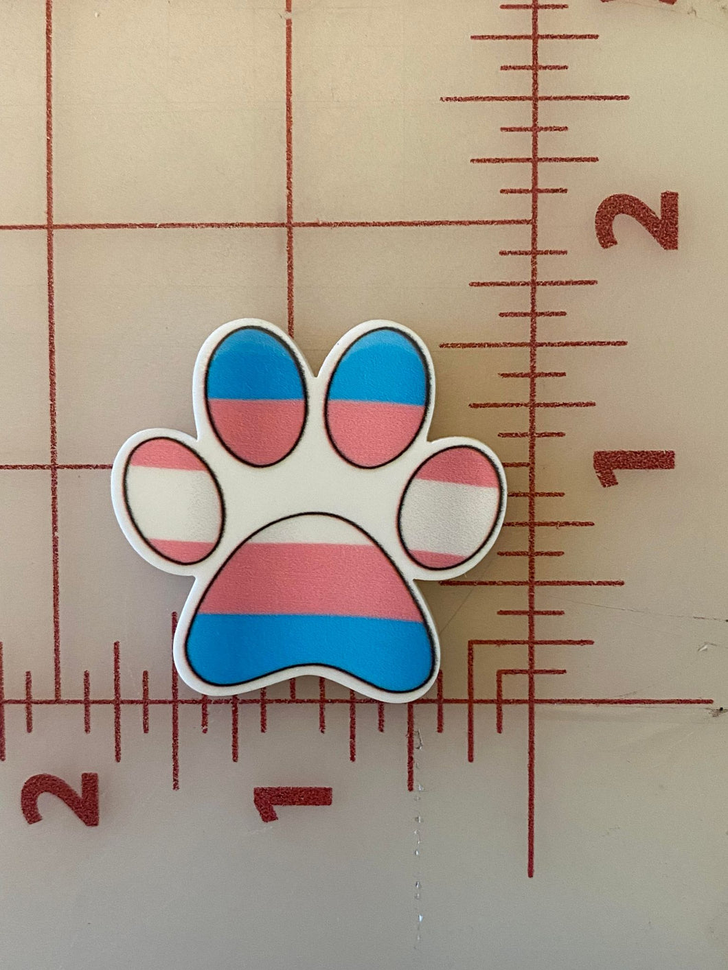 Transgender Pride Paw LGBTQ Paw Flat back Printed Resin