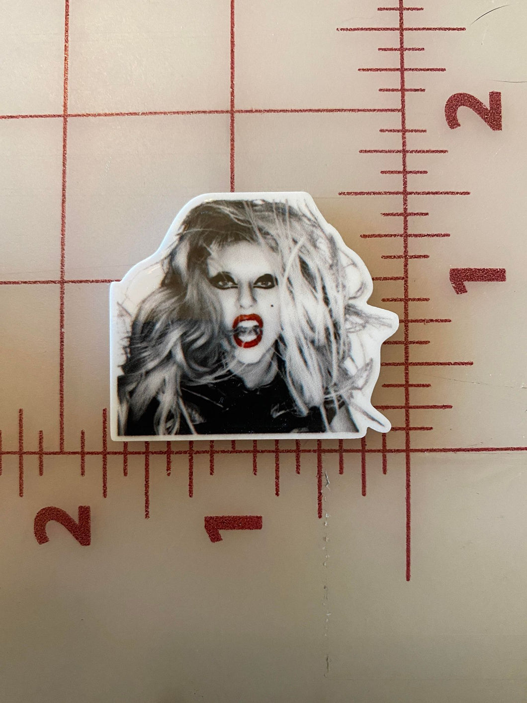 Lady Gaga MostersFlat back Printed Resin