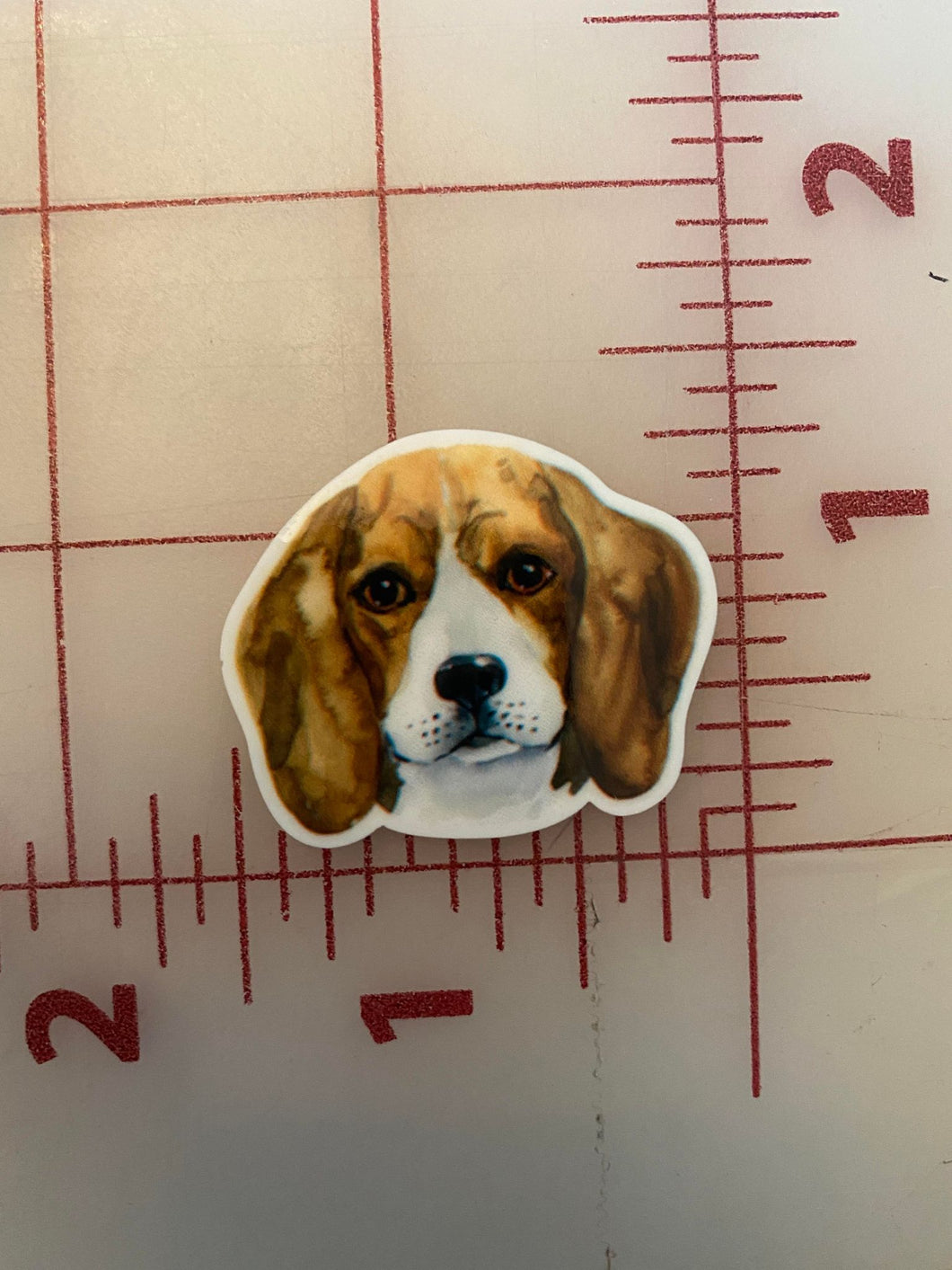Beagle Flat back Printed Resin