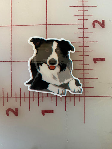 Black and White Australian Shepherd Flat back Printed Resin