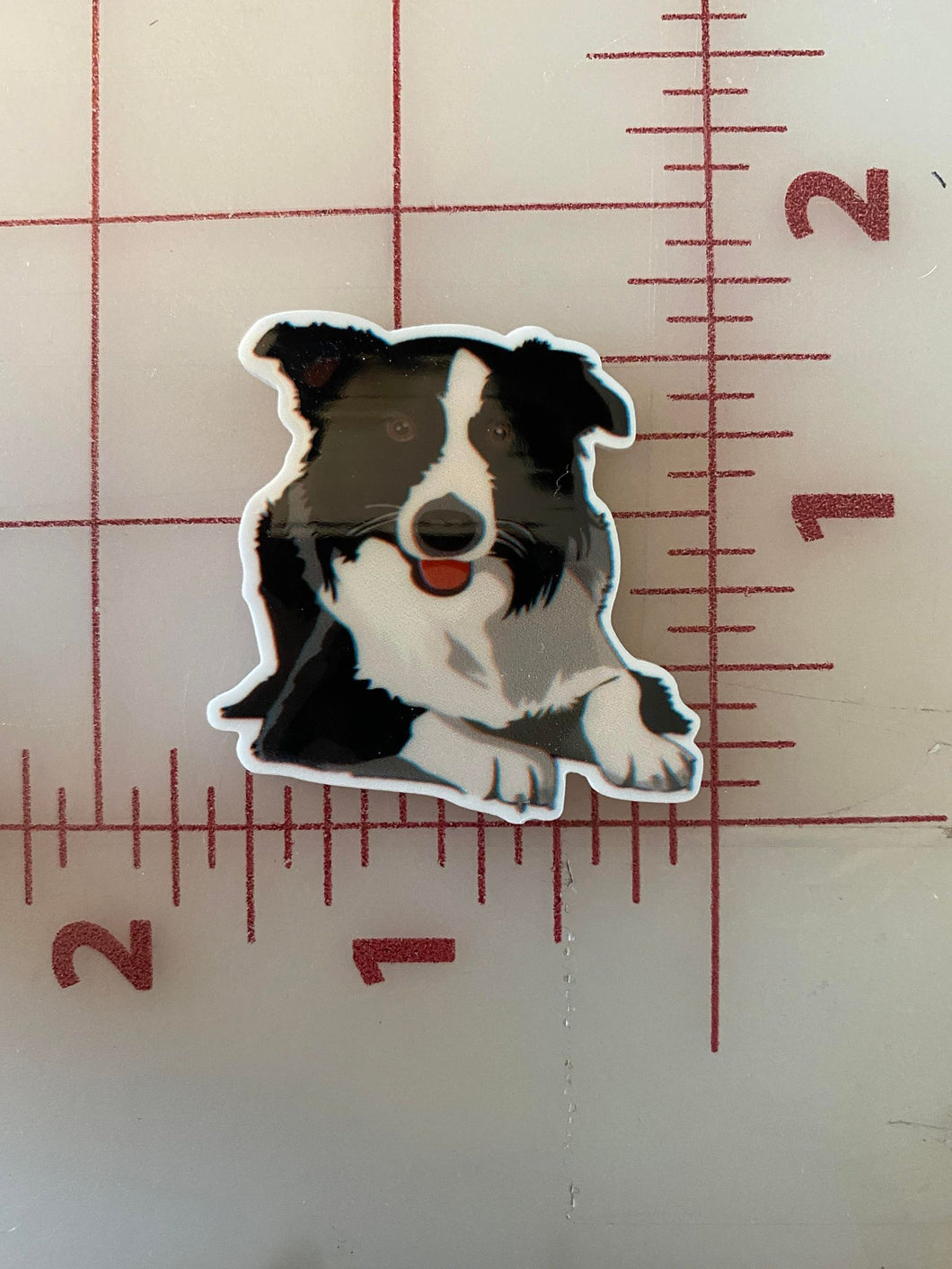 Black and White Australian Shepherd Flat back Printed Resin