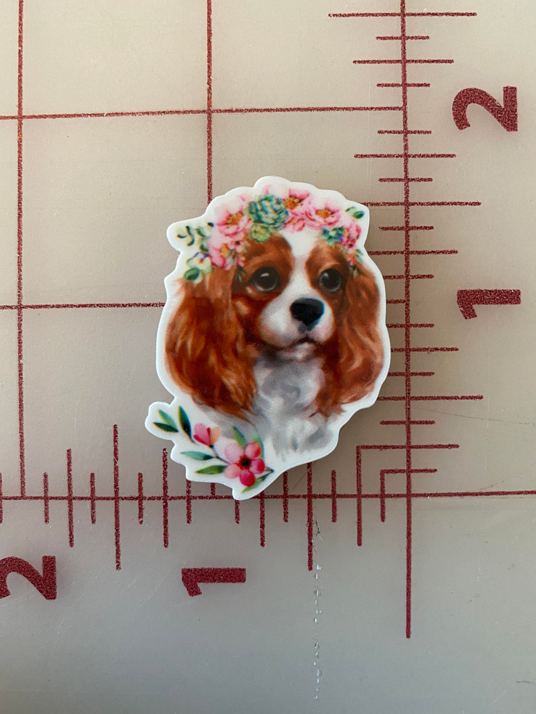 Cavalier King Charles Spaniel Flat back Printed Resin
