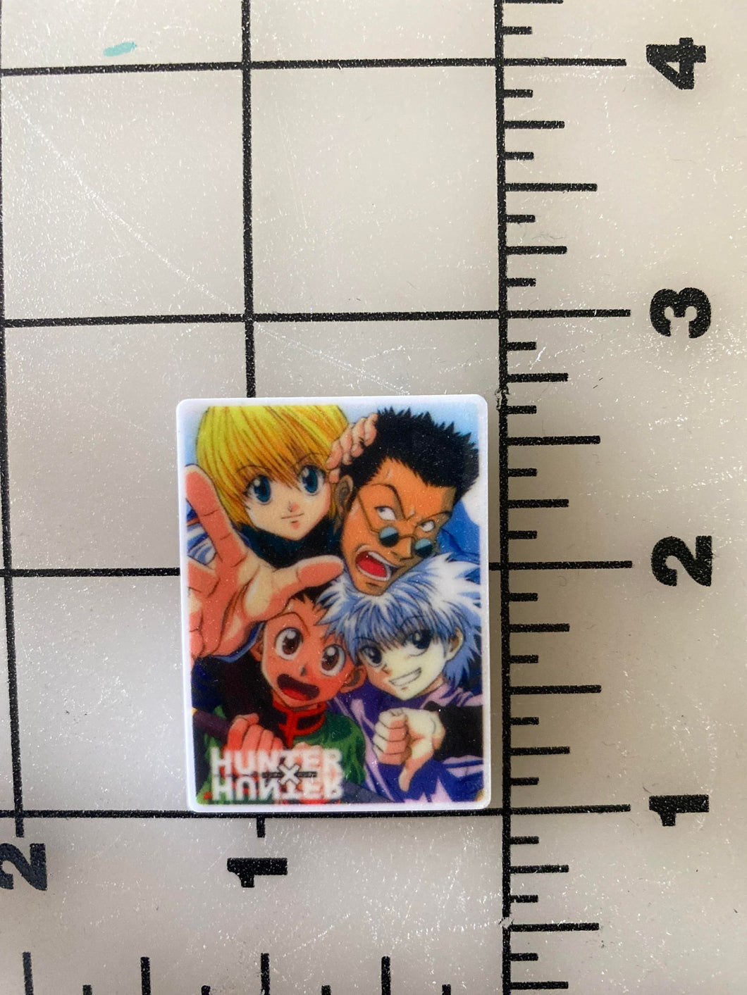 Hunter X Hunter Anime Flat back Printed Resin
